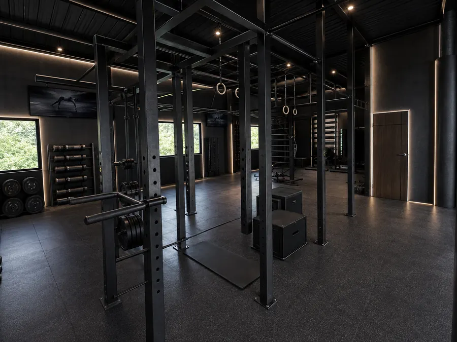 Calisthenics rig with pull-up bars, gymnastic rings, wall bars and plyo boxes